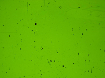 Sea Glass   Moss Green