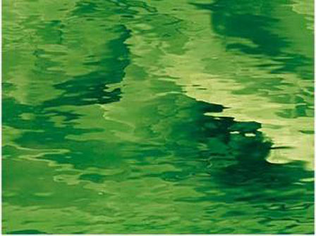 Light Green - Water Glass