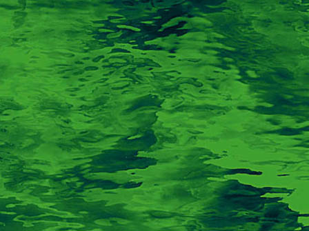 Medium Green - Water Glass