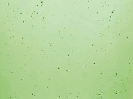 Sea Glass   Tint Green