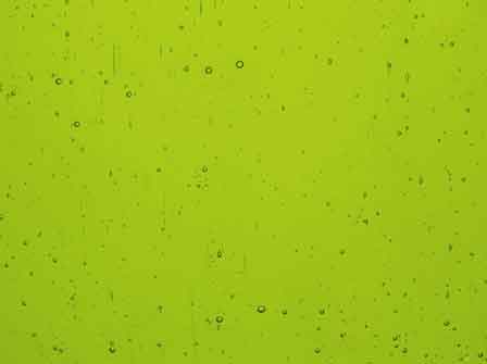 Sea Glass   Lime Green