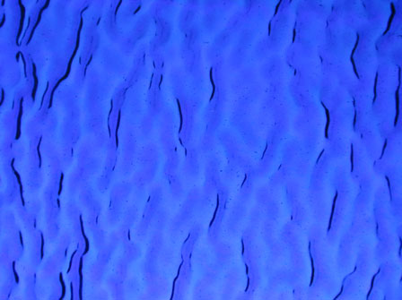 Dark Blue - Iridised Ripple/Wismack