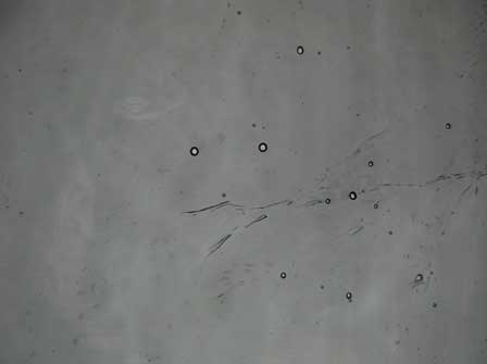 Bullseye   Gray 3mm