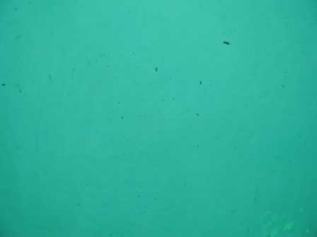 Bullseye   Emerald 3mm
