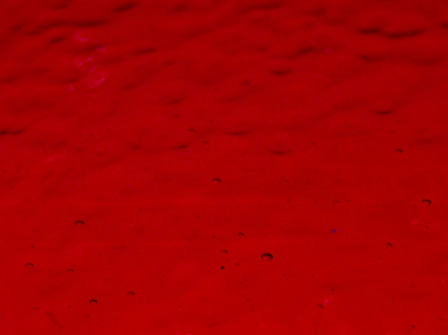 Corella - Red