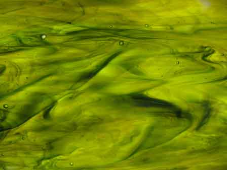 Sea Glass   Green Yellow Streaky