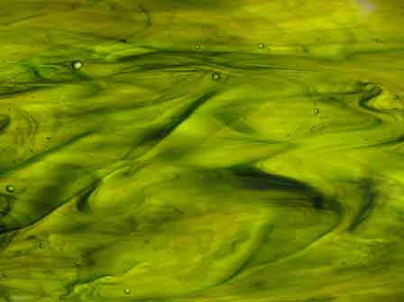 Sea Glass   Green Yellow Streaky