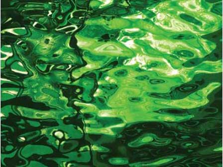 Spectrum Silvercoats   Mirror Green Water