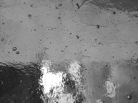 Seedy Restoration Clear