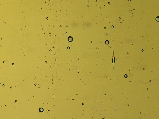 Light Green -  Amber Yorkshire Glass